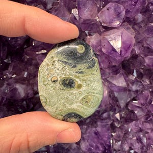 Rebanada de jaspe de cocodrilo (Kambaba) - Mini losa plana - 1 piedra