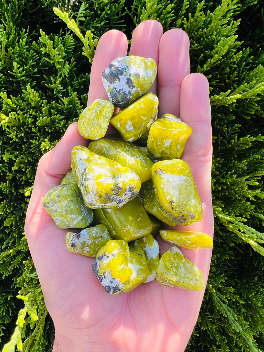 Lizardite Lizardite - Tumbled - Etsy
