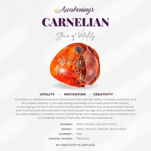 Carnelian - Tumbled - 1 Stone