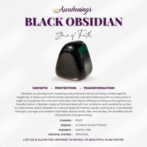 Black Obsidian - Tumbled - 1 Stone