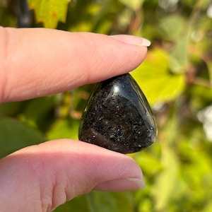 May include: A black triangular shaped crystal with a shiny, smooth surface. The crystal has a dark, almost opaque appearance with subtle flecks of silver throughout.