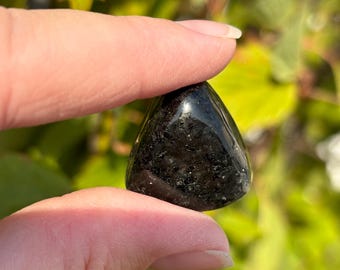 Anthophyllite avec biotite - Tambourgé - 1 pierre