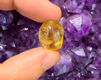 Golden/Yellow Apatite - Tumbled - 1 Stone