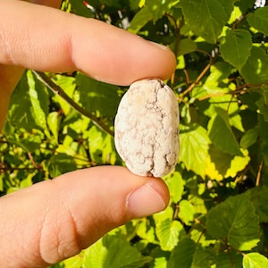 May include: A close-up of a white, round, textured rock held between two fingers. The rock has a rough, uneven surface and appears to be made of a porous material.