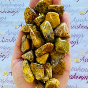 Golden Fire Chalcedony - Tumbled - 1 Stone
