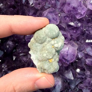 Pode incluir: Um aglomerado mineral verde claro com pequenas formações arredondadas e manchas douradas. O mineral é mantido contra um fundo de cristais de ametista roxos profundos, criando um contraste de cor e textura. O mineral é mantido entre dois dedos.