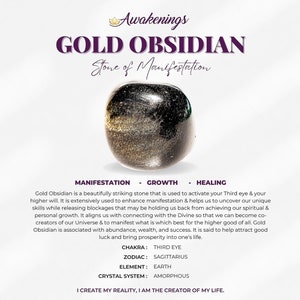 Goldglanz (Goldsheen Golden) Obsidian - getrommelt - 1 Stein