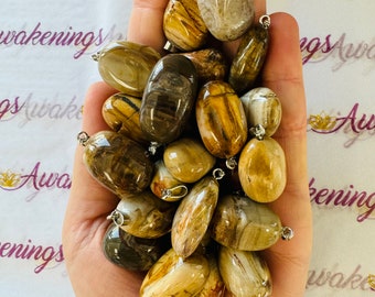 May include: A collection of 15 fossilized wood pendants in various shades of brown, beige, and grey. Each pendant has a silver bail for hanging.