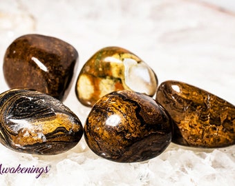 May include: Five tumbled stones of tiger iron, a combination of red jasper, hematite, and gold tiger's eye. The stones are smooth and polished, with a variety of brown, gold, and black markings.