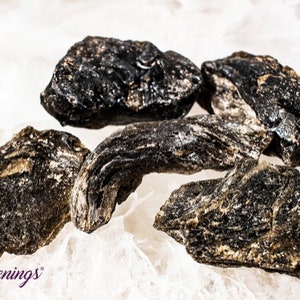 Darwin Glass (Darwinite) Tektite - Rough Raw Natural - 1 Stone