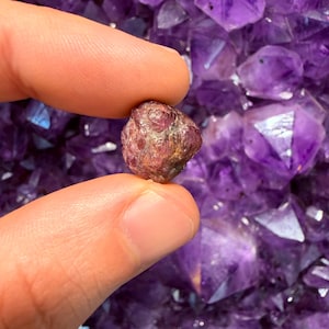 May include: A small, rough-textured, reddish-brown gemstone is held between fingers against a backdrop of deep purple amethyst crystals. The gemstone has a slightly rounded shape and appears to have natural inclusions.