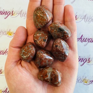 Kingston Conglomerate Jasper Copper - Tumbled