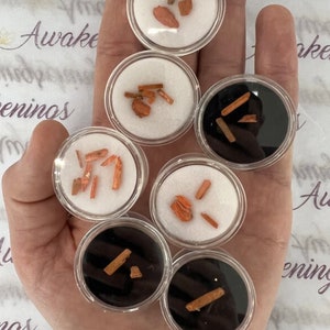 Könnte beinhalten: Sieben kleine transparente Behälter mit schwarzen Deckeln, die jeweils kleine Stücke orange-roter Mineralproben enthalten.