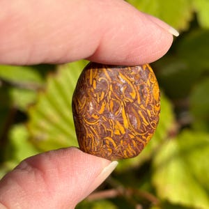 Arabic Miriam Jasper (Calligraphy Script Stone) - Tumbled - 1 Stone - Etsy Only
