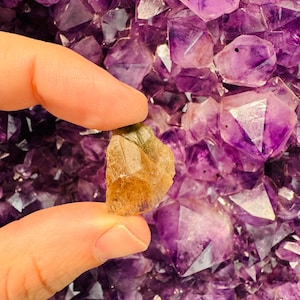 May include: A small, golden-brown crystal with green inclusions, held in a hand against a background of purple amethyst crystals.