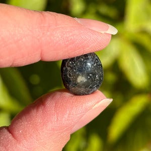 Black Agate - Tumbled