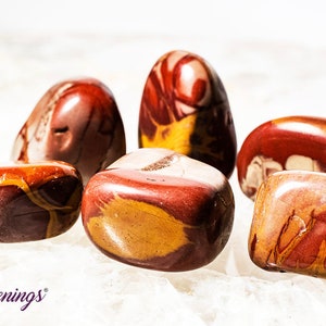 Noreena Jasper - Tumbled