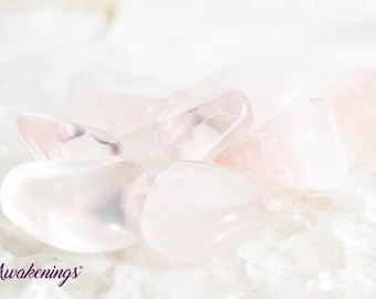 Pink Star Girasol Quartz - Tumbled - 1 Stone
