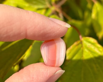 Apricot Agate - Tumbled - 1 Stone