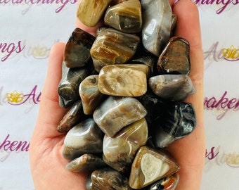 May include: A collection of tumbled petrified wood stones in various shades of brown, grey, and white. The stones have a natural, organic look and feel.