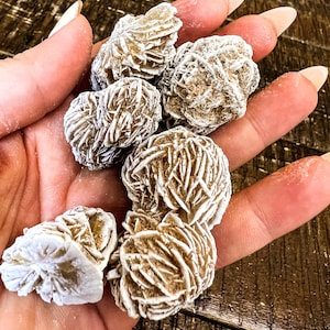 Desert Rose Gypsum Single - Rough Raw Natural