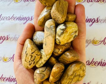 May include: A collection of tumbled stones with brown and white patterns. The stones are smooth and polished, and they are arranged in a hand.