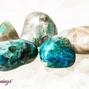 May include: Five tumbled stones of blue and green chrysocolla, a copper silicate mineral, with a white background.