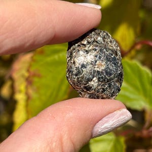 Biotite in Mica - Tumbled - 1 Stone