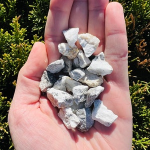 May include: A handful of small, white and gray, irregularly shaped rocks.