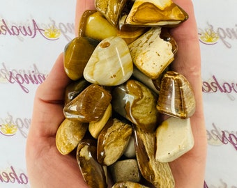 May include: A collection of tumbled petrified wood stones in various shades of brown, beige, and white. The stones are smooth and polished, with intricate patterns and textures.