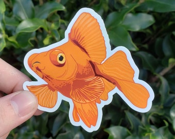 Orange Telescope Eye Goldfish Sticker | Aquarium - Fish - Fancy - Butterfly - Pets - Aquatics