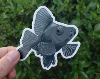 Black Moor Sticker | Goldfish - Aquarium - Fish - Fancy - Butterfly Telescope - Pets - Aquatics
