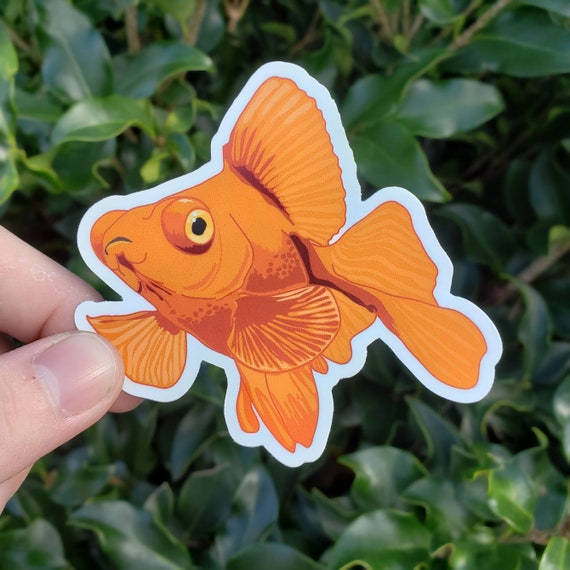 Orange Telescope Eye Goldfish Sticker Aquarium Fish Fancy Butterfly Pets  Aquatics -  Canada