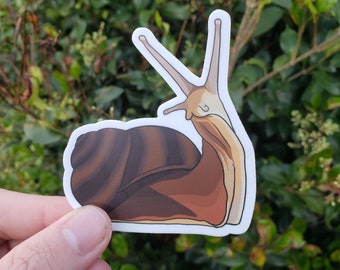 Snail Sticker Decal | Garden - Snail - Slug - Bug - Insect