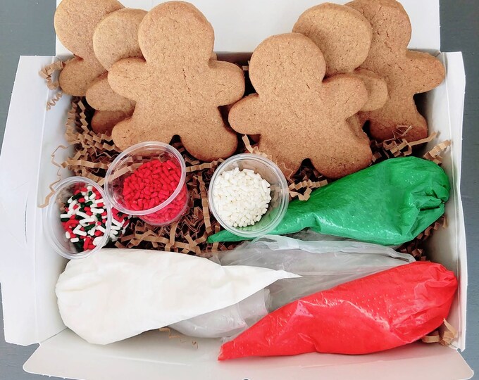 Christmas Gingerbread Cookie DIY Kit L Gingerbread Decorating Kit L Kid