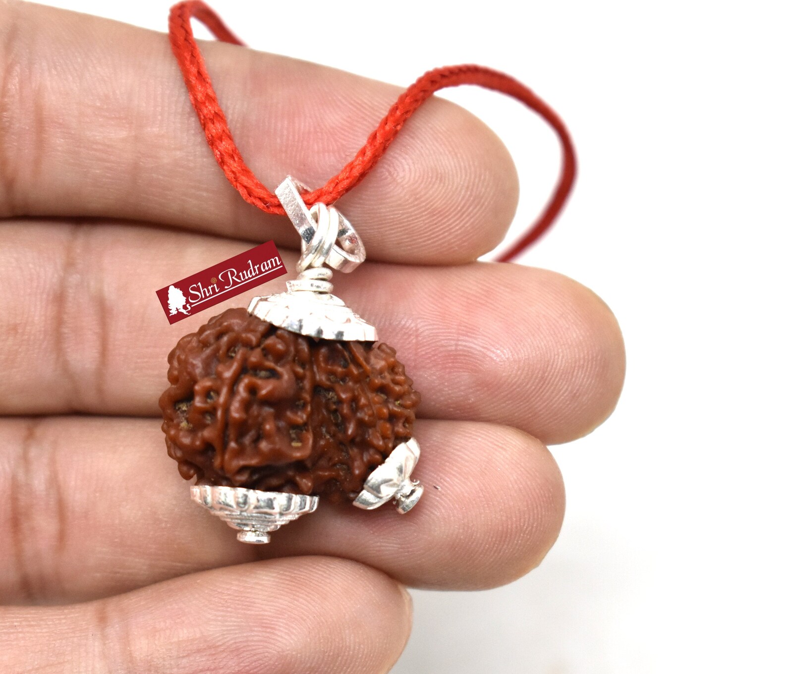 Shri Rudram Garbh Gauri Rudraksha / Gouri Ganesh Rudraksh Etsy