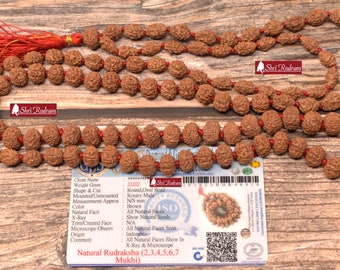 ShriRudram Rudraksha 2 3 4 5 6 7 Mukhi 108 Beads Mala Necklace, Rudraksh Beads, 2 Mukhi•3 Mukhi•4 Mukhi•5 Mukhi•6 Mukhi•7 Mukhi Top Quality