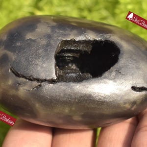 ShriRudram Narayan Shaligram , Narayana Stone Gandaki River , Religious Gifts , Ritual Object NLG400
