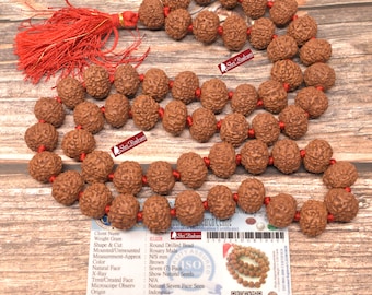 ShriRudram 7 Mukhi Rudraksha Mala / Seven Face Rudraksh Rosary Java 54+1 Beads Lab Certified 15 MM