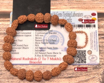ShriRudram Rudraksha 2 3 4 5 6 7 Mukhi Java Beads Lab Certified Wrist band bracelet, Shiva bracelet, Yoga jewelry, Shiva Shakti Bracelet