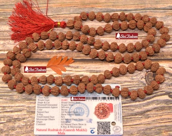 ShriRudram Ganesh Rudraksha Mala / Ganesha Rudraksh Rosary 108+1 Beads  Lab Certified D66