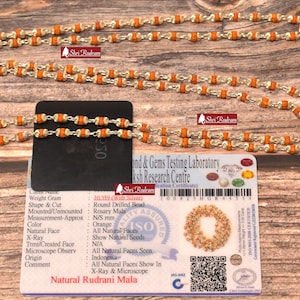 ShriRudram Rudrani Mala, Rudrani Necklace, Goddess Necklace, Handmade Mala, Natural Bead Necklace, 108 Rudraksha Necklace in SIlver