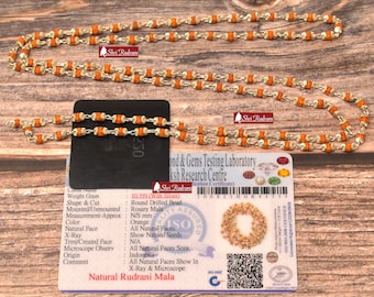 ShriRudram Rudrani Mala, Rudrani Necklace, Goddess Necklace, Handmade Mala, Natural Bead Necklace, 108 Rudraksha Necklace in SIlver