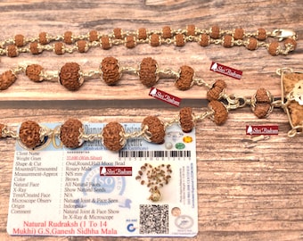 ShriRudram Siddha Mala 1 - 14 Mukhi , Gauri Shankar , Ganesh Rudraksha Rudraksh in Silver Lab Certified D18