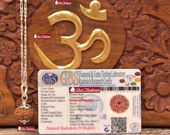 ShriRudram 9 Mukhi Rudraksha / Nine Face Rudraksh Java Bead in Pure Silver Chain Lab Certified