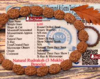 Shri Rudram 3 Mukhi Rudraksha Bracelet / Three Face Rudraksh Wristlet Java Lab Certified D2