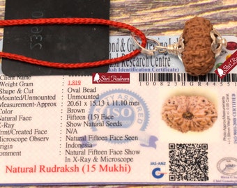 ShriRudram 15 Mukhi Rudraksha / Fifteen Face Rudraksh Java Bead Lab Certified 20.61 MM
