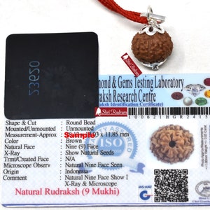 Shri Rudram 9 Mukhi Rudraksha Nine Face Rudraksh Java Bead Lab Certified 18-20 MM