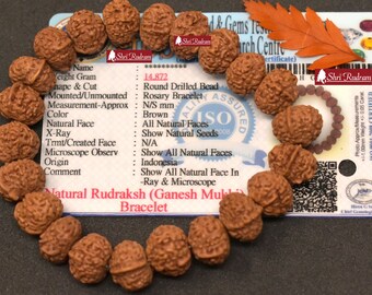 ShriRudram Ganesh Rudraksha Bracelet / Ganesha Rudraksh Wristlet Java Lab Certified