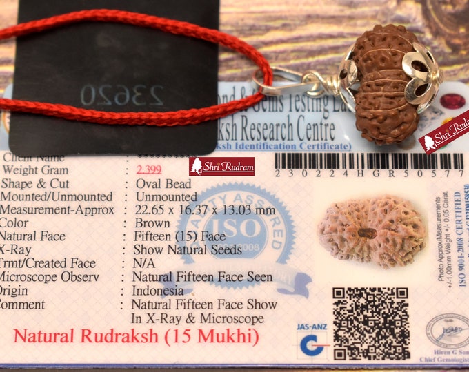 Featured listing image: 15 Mukhi Rudraksha Pendant - Lab Certified Spiritual Gifts, Yoga Pendant, Fifteen Face Rudraksha Pendant 22.65 MM